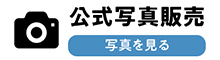 フォトクリエイト